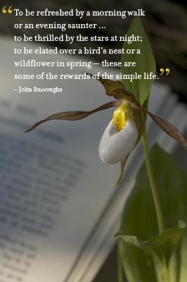 Lady Slipper, 'To be refreshed by a morning walk ... ' - John Burroughs