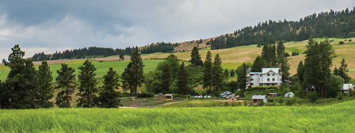 MaryJanesFarm panorama image in spring